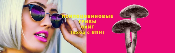 стафф Алзамай